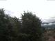 Gmund am Tegernsee 28.06.2025 08:47