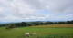 Grebenhain 02.07.2025 12:20