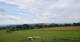 Grebenhain 02.07.2025 14:20