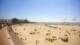 Berck-sur-Mer 28.06.2025 15:38