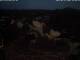 Bad Waldsee 09.07.2025 21:46