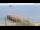 Webcam in Wyk auf Föhr, 0.6 mi away